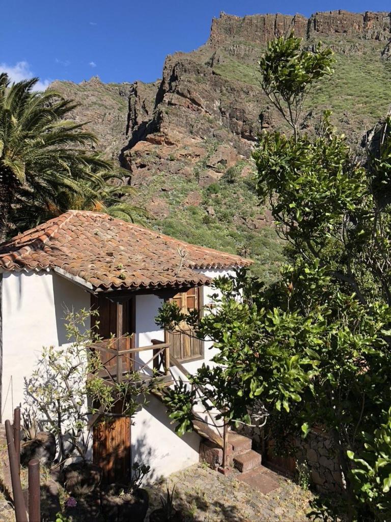 Home2Book El Encanto De La Torre I Santa Cruz de Tenerife Exteriör bild